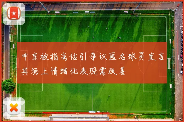 申京被指高估引争议匿名球员直言其场上情绪化表现需改善