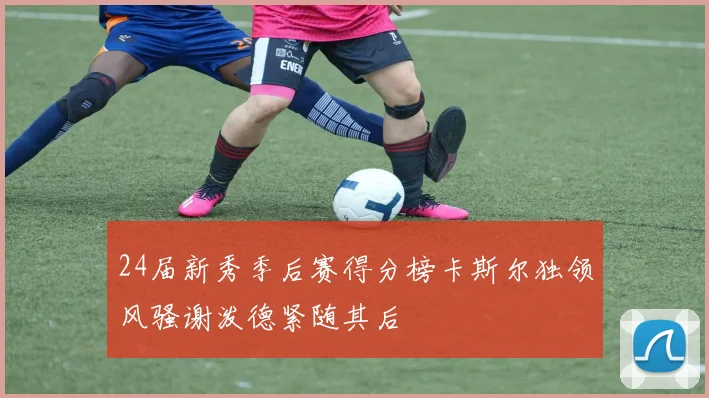 24届新秀季后赛得分榜卡斯尔独领风骚谢泼德紧随其后
