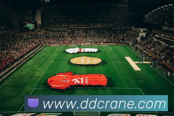 全球热力图